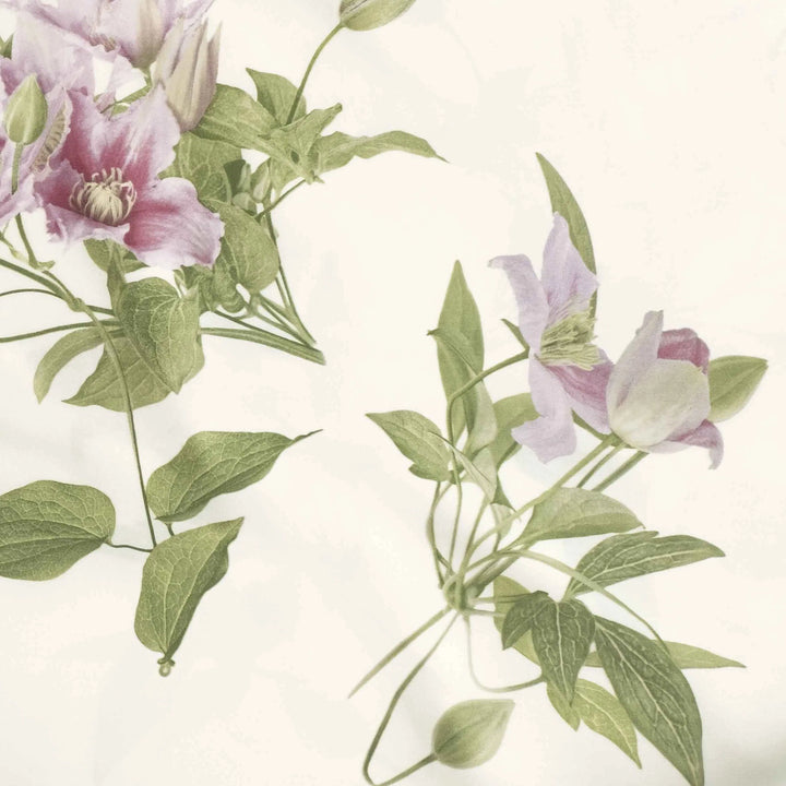 Clematis individual