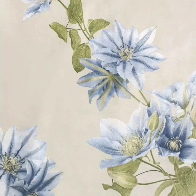 Clematis individual
